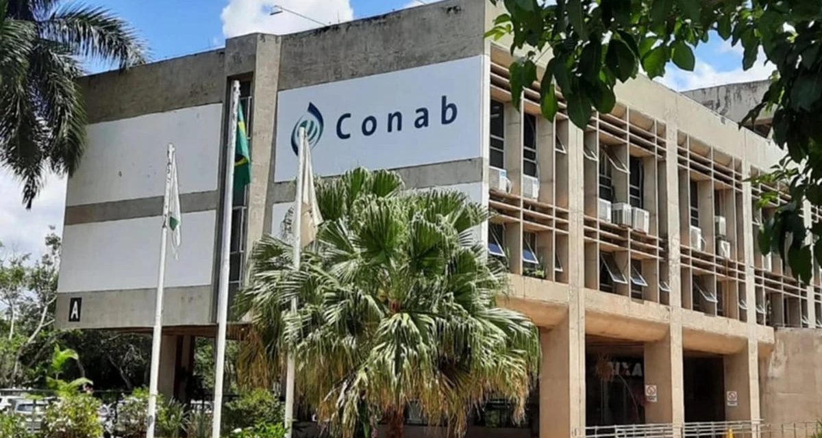 Conab abre concurso público com 403 vagas e salários de até R$ 8 mil