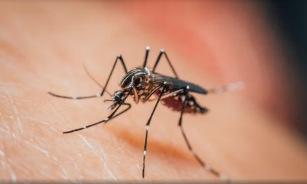 Com mais de 4 mil casos e 9 mortes, Várzea Grande prorroga situação de emergência