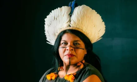 Sônia Guajajara apresenta melhoras, mas continua internada em SP