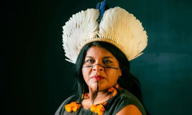 Sônia Guajajara apresenta melhoras, mas continua internada em SP