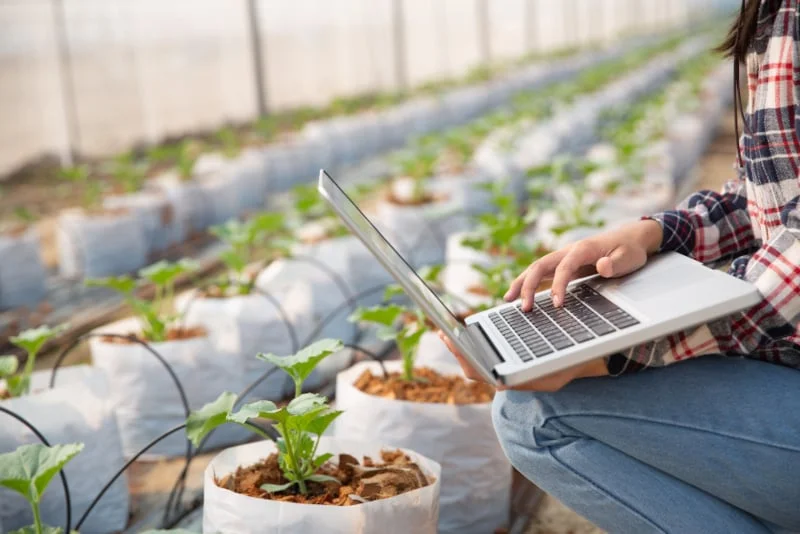 Estudo aponta entraves e caminhos para ampliar uso da agricultura 4.0 no Brasil