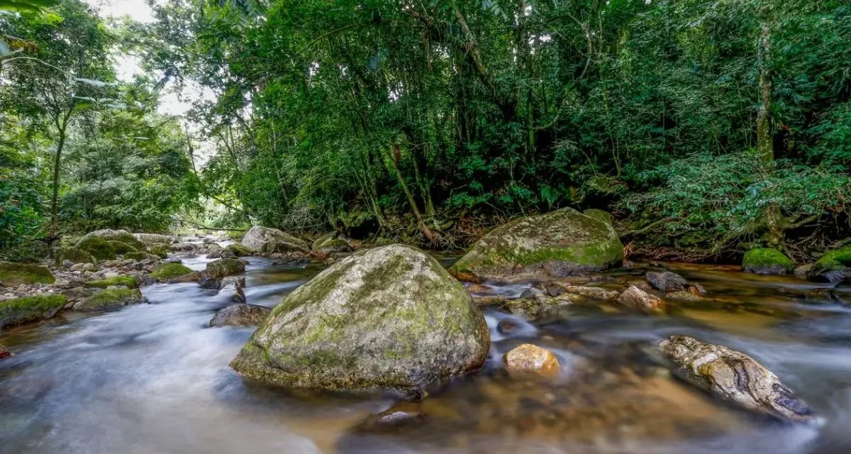 Plano busca fortalecer Sistema Nacional do Meio Ambiente até 2036