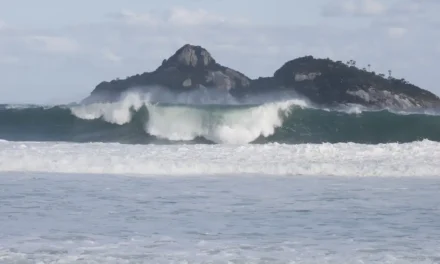 Rio recebe encontro internacional sobre proteção dos oceanos
