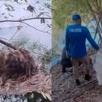 Corpo é encontrado às margens do Rio Coxipó e DHPP investiga;
