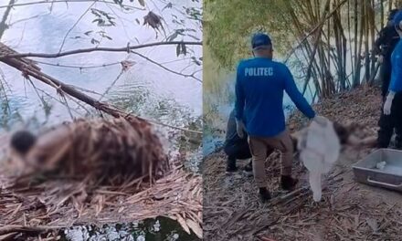 Corpo é encontrado às margens do Rio Coxipó e DHPP investiga;
