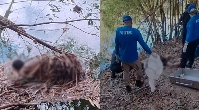 Corpo é encontrado às margens do Rio Coxipó e DHPP investiga;