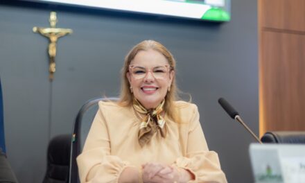 Vereadora Paula Calil encerra primeiro semestre com 7.595 indicações e 15 projetos de lei aprovados