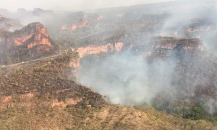 Incêndio avança sobre área de proteção ambiental em Chapada dos Guimarães;