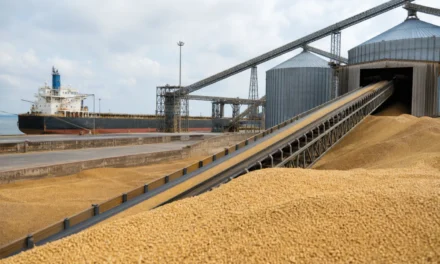 EUA reportam venda de 624,15 mil toneladas de soja para China e destinos desconhecidos