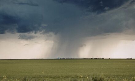 Alerta no Campo: Com fim do vazio sanitário, Mato Grosso inicia safra 2026/27 sob a sombra do El Niño e aperto no crédito