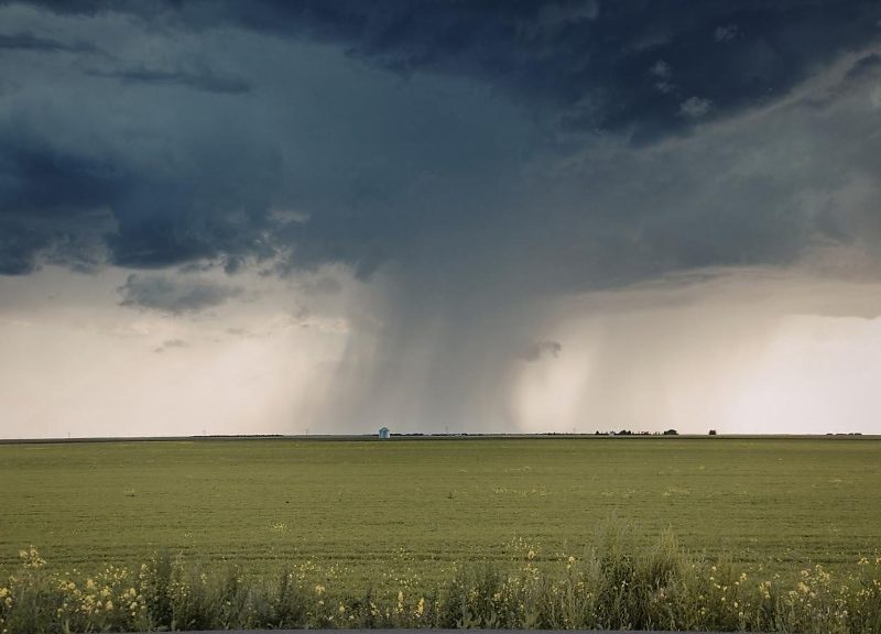 Alerta no Campo: Com fim do vazio sanitário, Mato Grosso inicia safra 2026/27 sob a sombra do El Niño e aperto no crédito