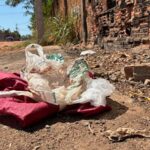 Recém-nascida é encontrada em sacola em terreno baldio de Cuiabá