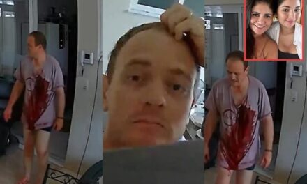 Família de homem que matou esposa com 16 facadas faz B.O. contra advogado que divulgou vídeos do crime